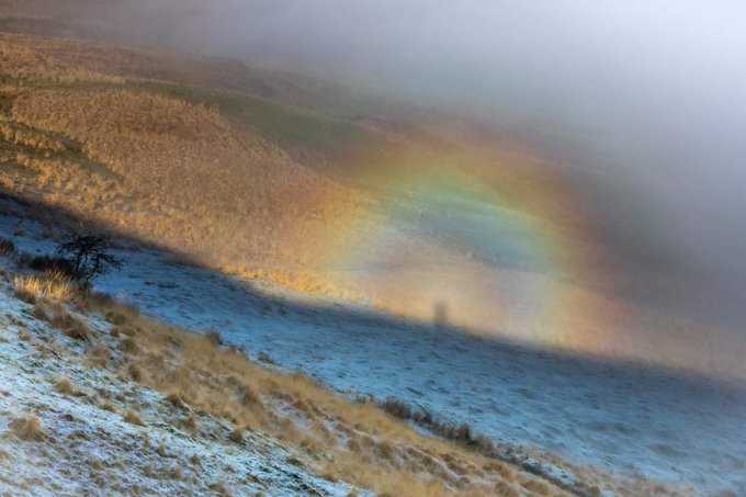 A Brocken or mountain Spectre a wonderful phenomenon when out on the hill this morning with the stock (February 2020)